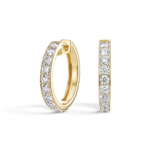 Earring Huggies - 2 ct