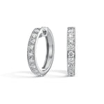 Earring Huggies - 2 ct