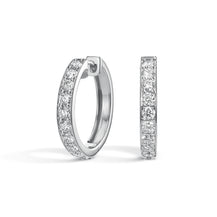 Earring Huggies - 2 ct