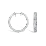 Earring Huggies - 2 ct
